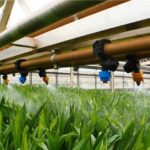 Acelen Renováveis e Finboot firmam parceria para ampliar rastreabilidade de biocombustíveis